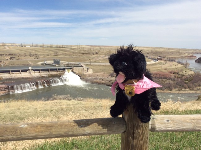 stuffed pup above dam