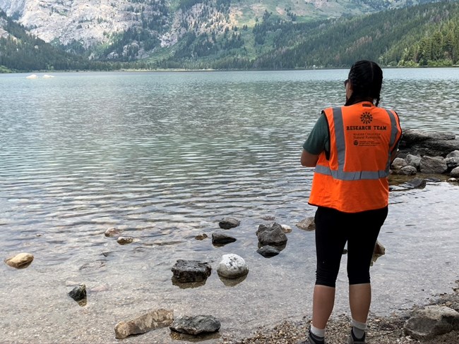 Student at lake A student gazes out at a lake. The back of their vest reads ‘Research Team.