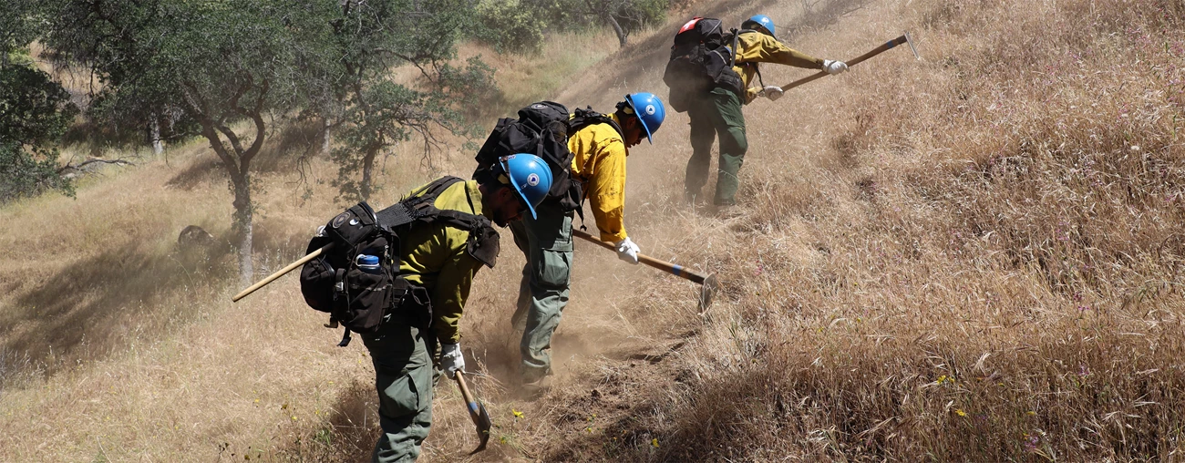 Firefighters use a variety of tools to manage fires. Three firefighters use handtools to dig fireline on a slope covered in dried grasses.