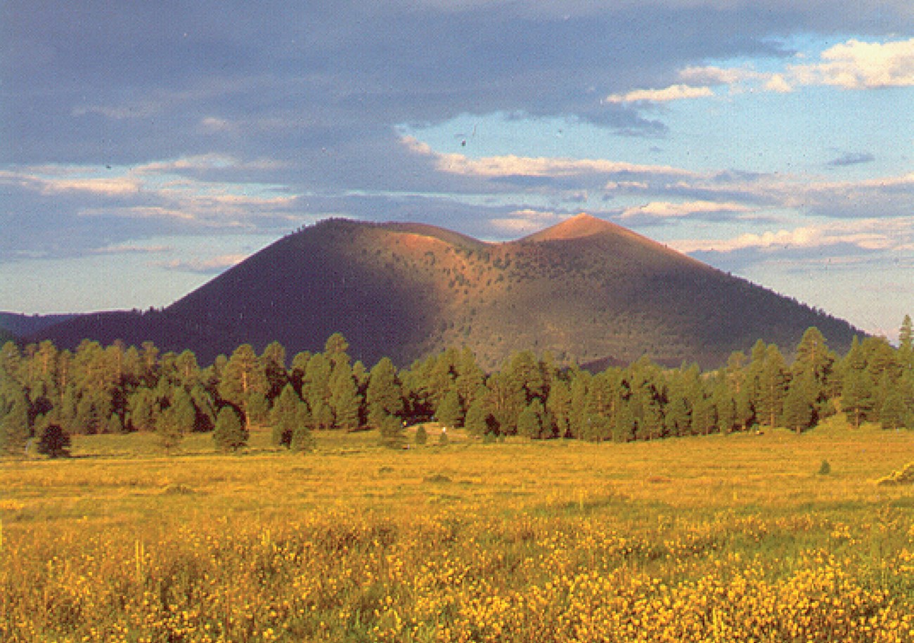 SUCR sunset crater volcano by robert j lillie@10x forest and rangeland with cinder cone