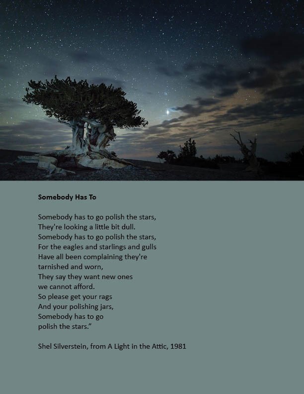 Somebody Has To photo poem composite shows words to Shel Silverstein's poem with night sky landscape