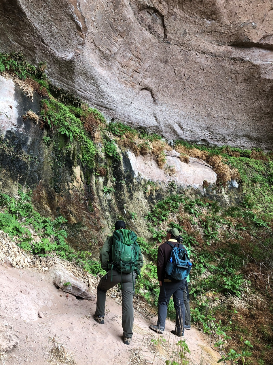 Two people look at a rock wall covered in green plants and some trickling water source.