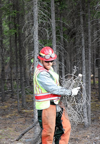 A male firefighter in PPE carries an arm full of downed hazard vegetation out of the tree line.