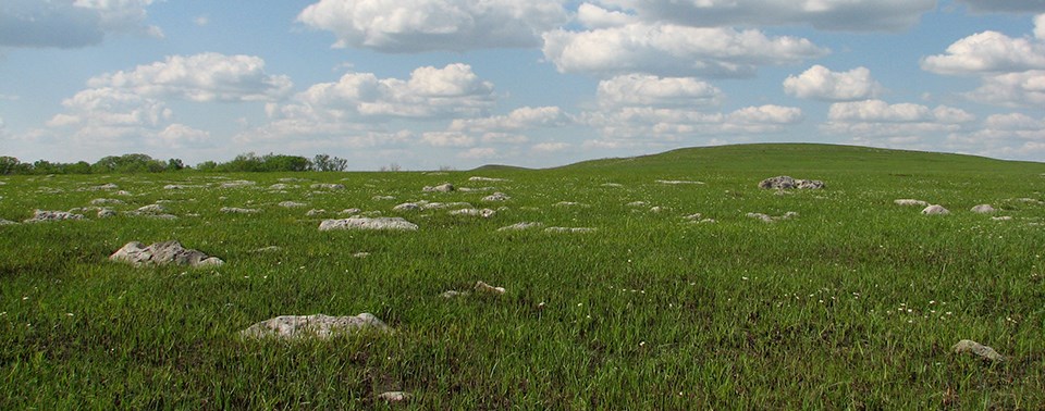 Sloped hill dotted with rocks and vibrant green grass under blue sky with scattered clouds.