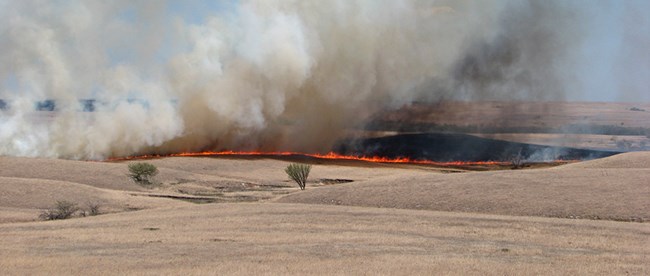 Smoke and flames in the distance with brown grasses in the foreground.
