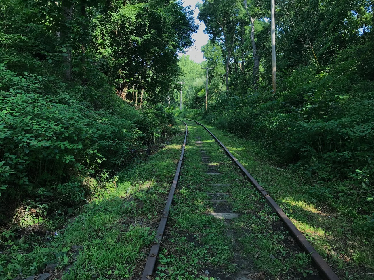 Kingston Point Rail Trail, New York Trails