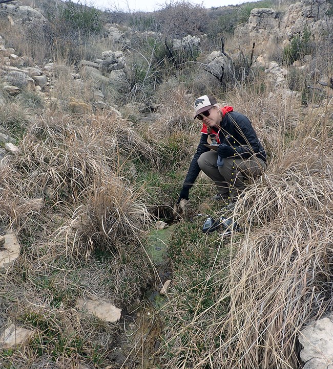 A small wet area flowing through grasses in a narrow channel and a scientist pointing at the water origin.