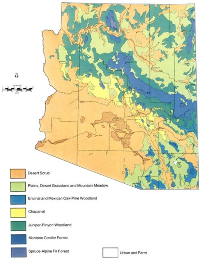 Az National Forests Map