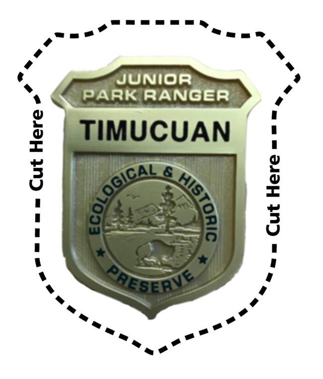 Virtual Junior Ranger Badge a gold badge that read Junior Park Ranger Timucuan Ecological and Historic Preserve with a dotted line to cut out