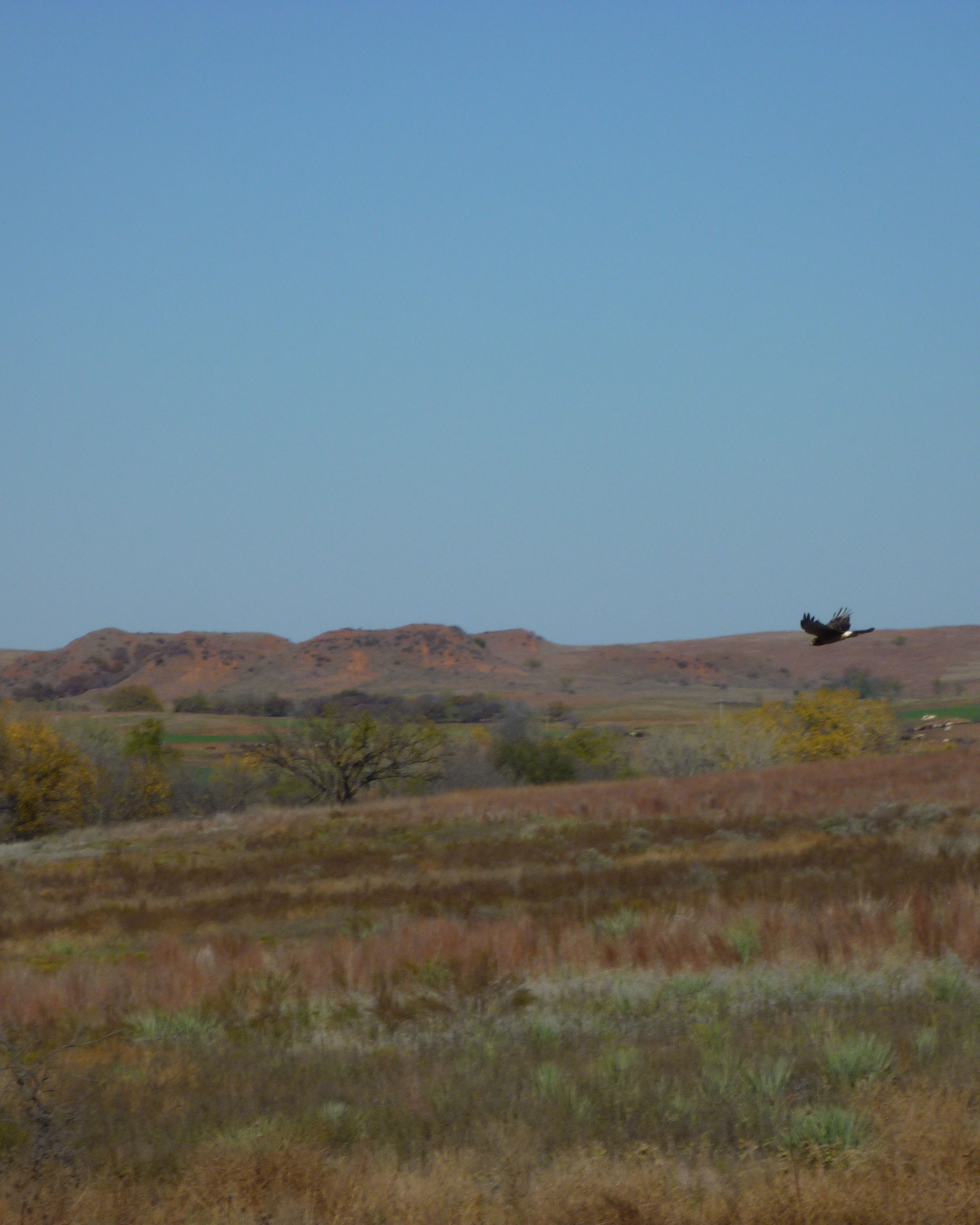 Black Kettle National Grassland - Washita Battlefield National