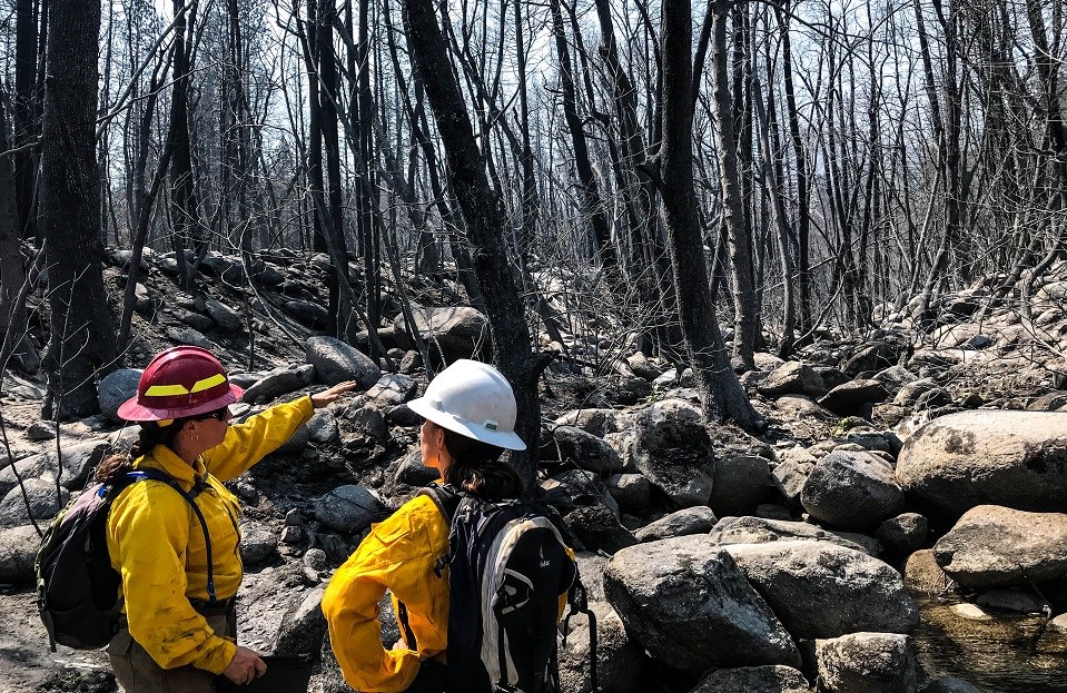 Two people surveying burned trees in a rocky area.