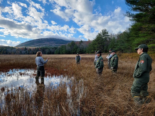 Wet Marsh five park employees standing ankle deep in grassy wetland meadow