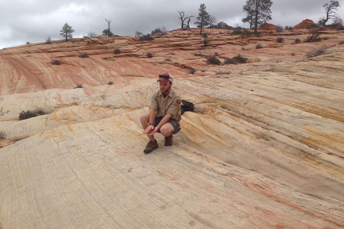 layered sedimentary rock