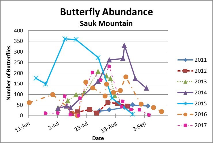 Butterfly abundance at Sauk Mountain, 2011-2017 Line graph with butterfly abundance throughout the summer represented by a different line for each year. The greatest, and earliest, peak abundance occurred in 2015.
