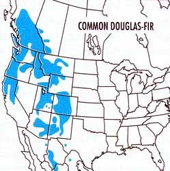 Map highlighting Douglas fir's range in the United States and adjoining countries.
