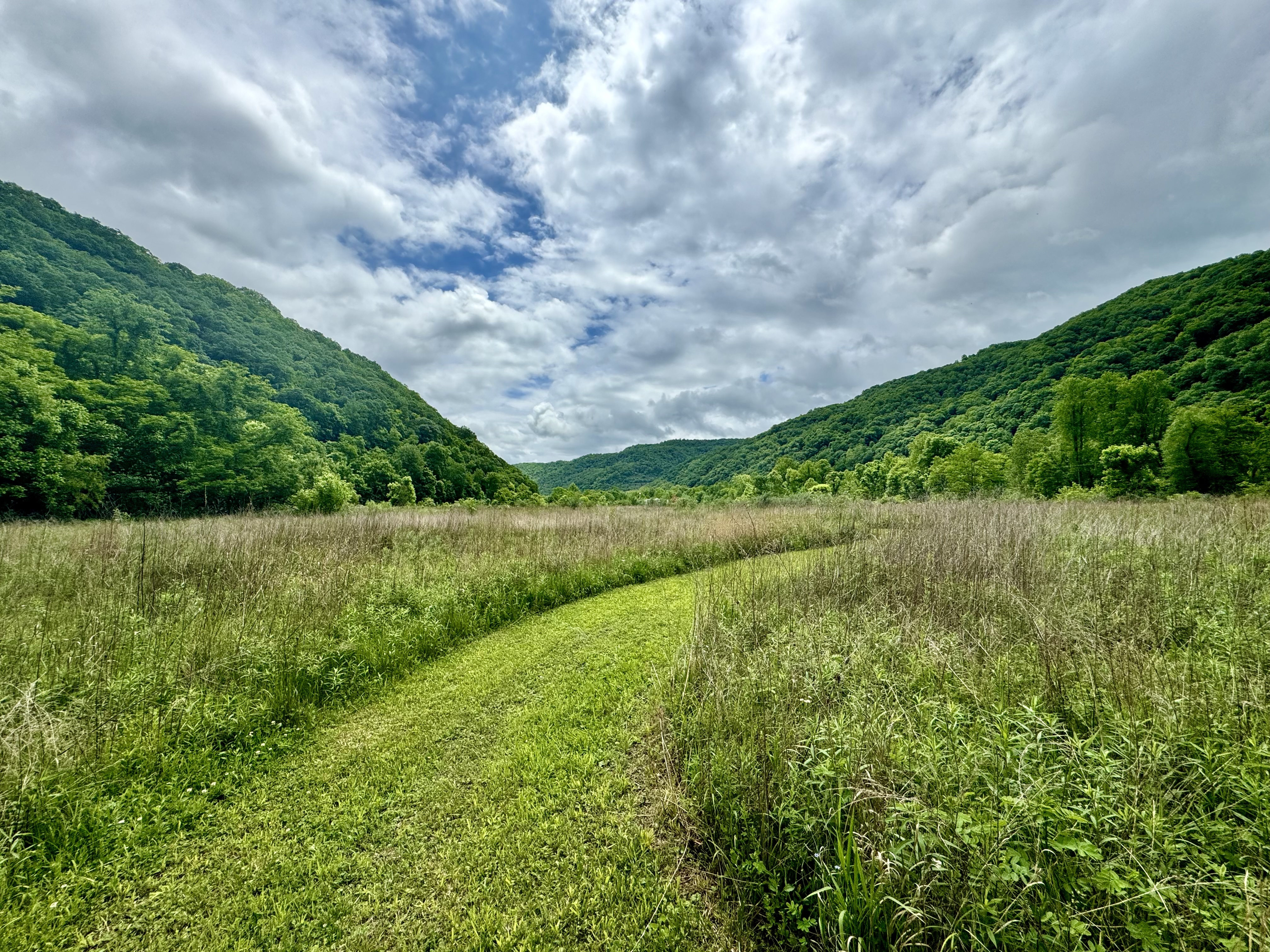 Development of a common landscape design for the Appalachians (US National Park Service)