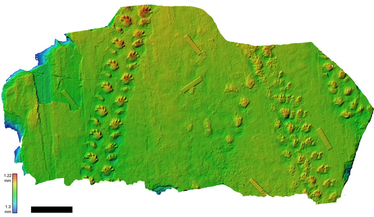 fig2_without_label_2b_crop False color depth map of track-bearing boulder