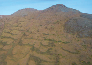 Treeline Shifts in Denali: Influences of Climate Change and Local