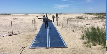 Fire Island Portable Path