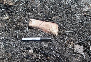 Artifacts after grass fire. Artifacts after grass fire.