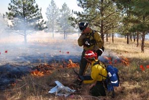 Firemen amid grass fire. Firemen amid grass fire.