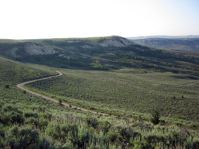 A vast rolling vista of sagebrush and other high desert plants intersected by dirt roads.