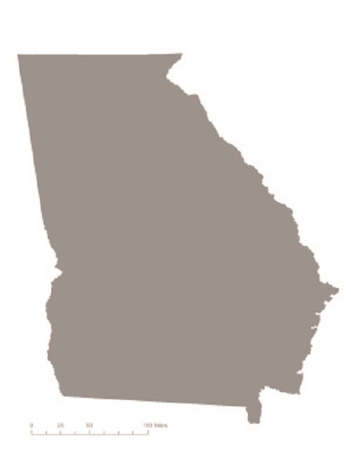 Georgia depicted in gray – indicating that it was not one of the original 36 states to ratify the 19th Amendment. CC0 Georgia depicted in gray – indicating that it was not one of the original 36 states to ratify the 19th Amendment. CC0