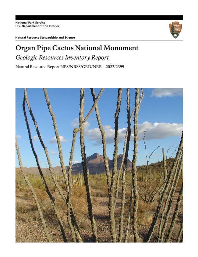image of report cover with photo of a cactus and mountain peak