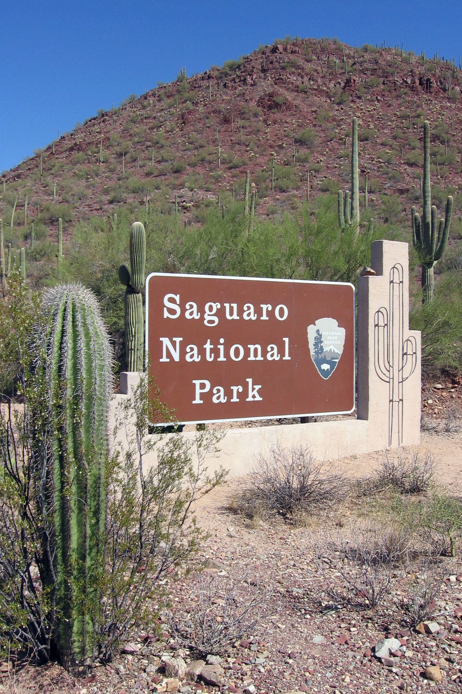 Park Archives: Saguaro National Park