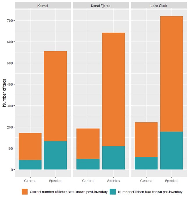 A bar graph showing the increase in described species of lichen due to the inventory.