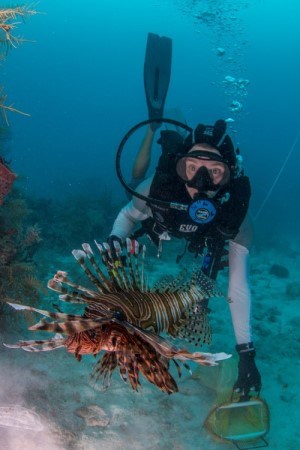 Invasive lionfish A scuba diver in blue ocean water looks at a red and white striped fish.