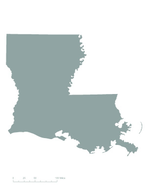 Louisiana and the 19th Amendment (U.S. National Park Service)