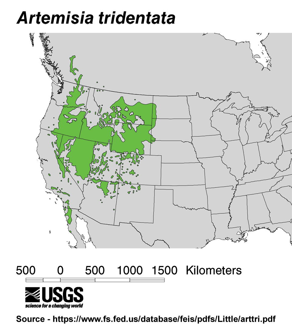Map of distribution of sagebrush in the western United States.