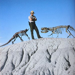 vincent l santuccci ranger with fossil skeletons