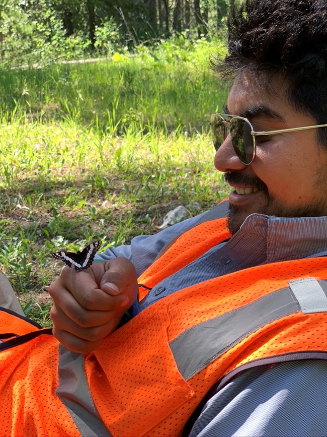 student with pollinator Photo of a black butterfly with white stripes landed on a person's hand