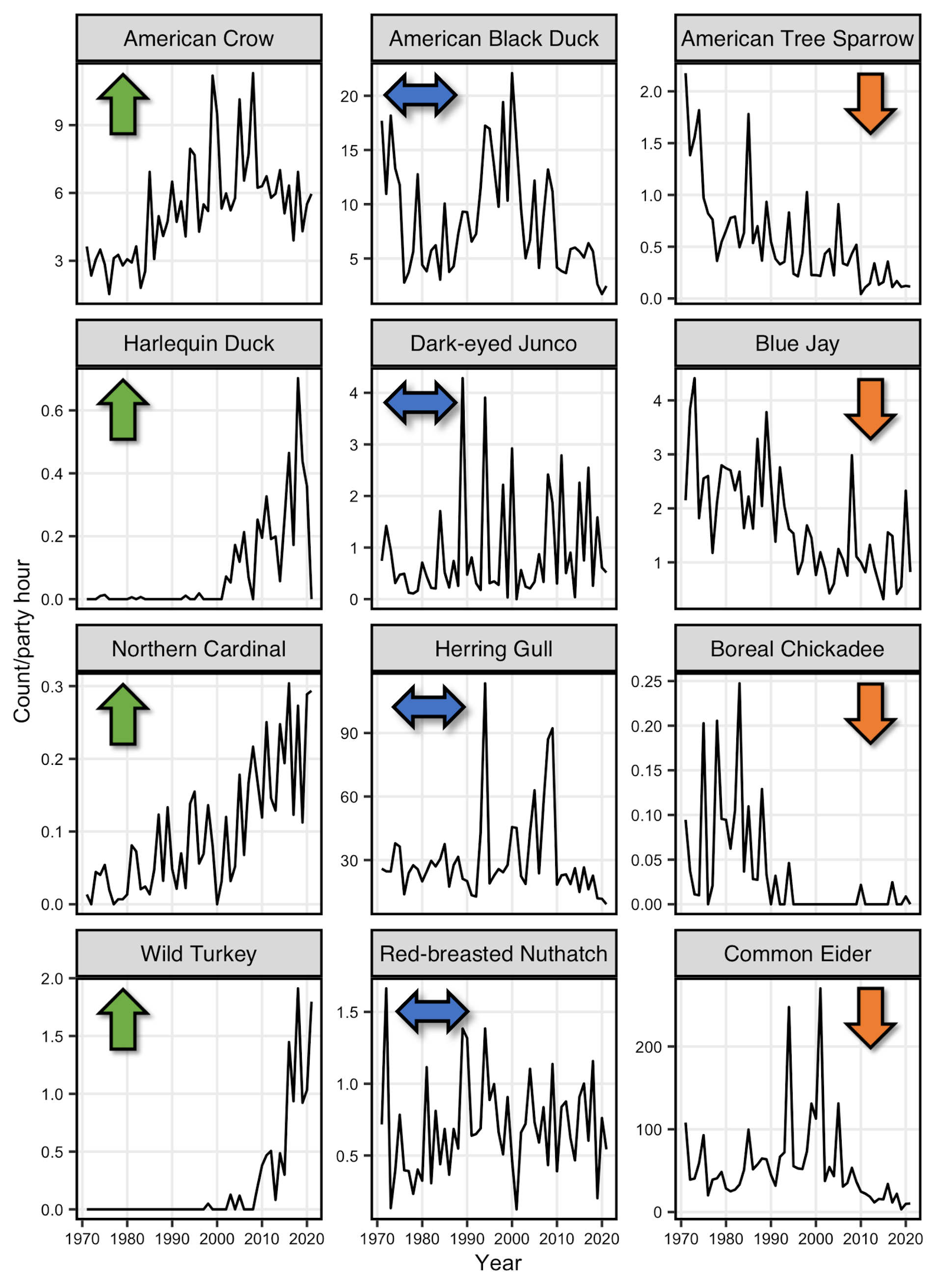 Twelve line graphs showing winter bird population trends in Acadia. Examples, include American Crow's increasing, American black ducks remaining consitent and American Tree sparrows declining.