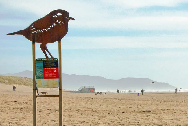 A large sign marks the northern end of the Western Snowy Plover Protection Area on Ocean Beach.
