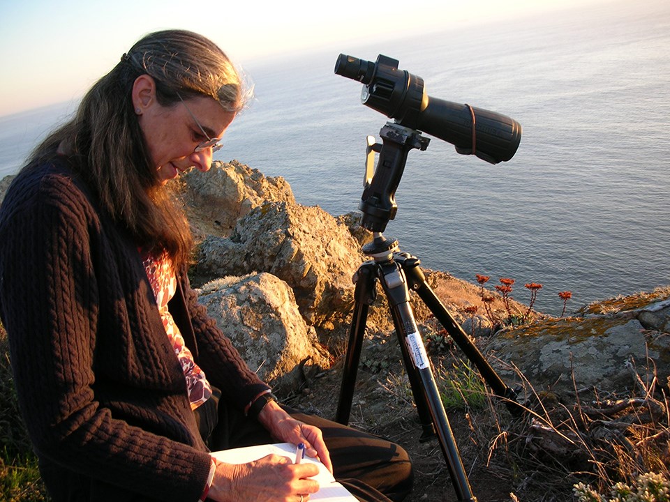 Dr. Sarah Allen writes in a notebook next to an observation scope atop a rocky cliff next to the Pacific Ocean.