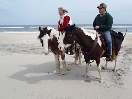 Horseback Riding Assateague Island National Seashore U S National Park Service