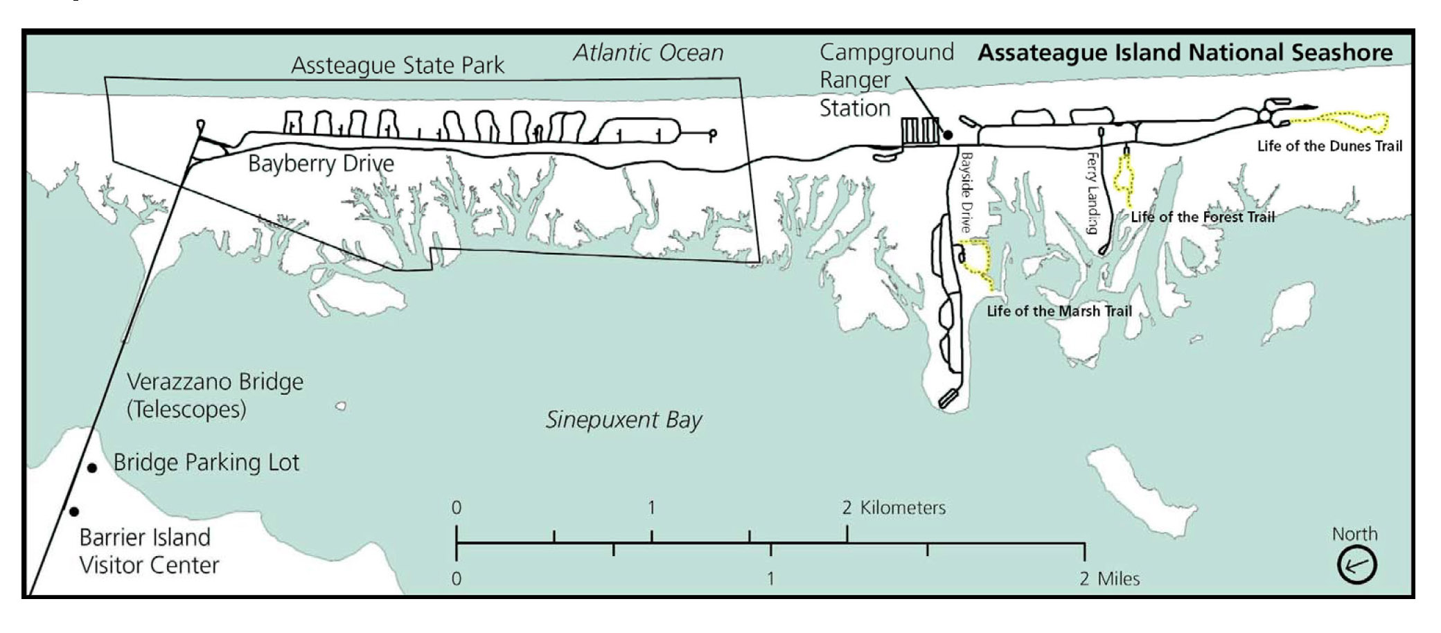 Assateague State Park Map Maryland District   Trail Map   Assateague Island National 