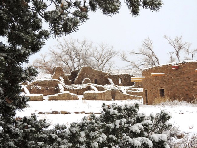 The Great Kiva shown in the snow and green shrubbery surrounded the frame of the photo.