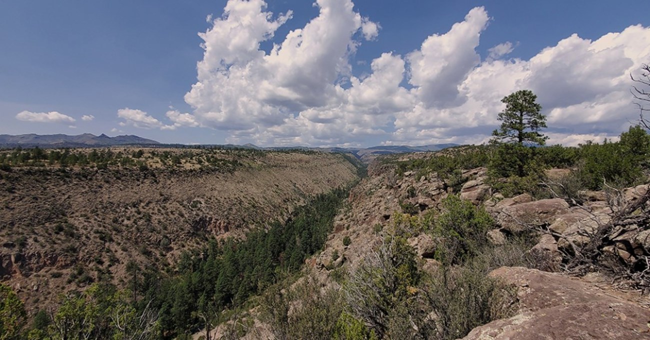 A view of a mesa top covered in green trees and bushes.