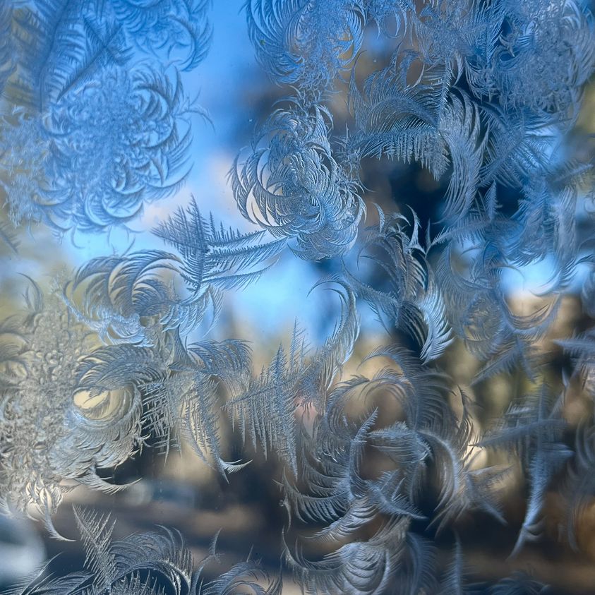 Snow crystals settle on a window