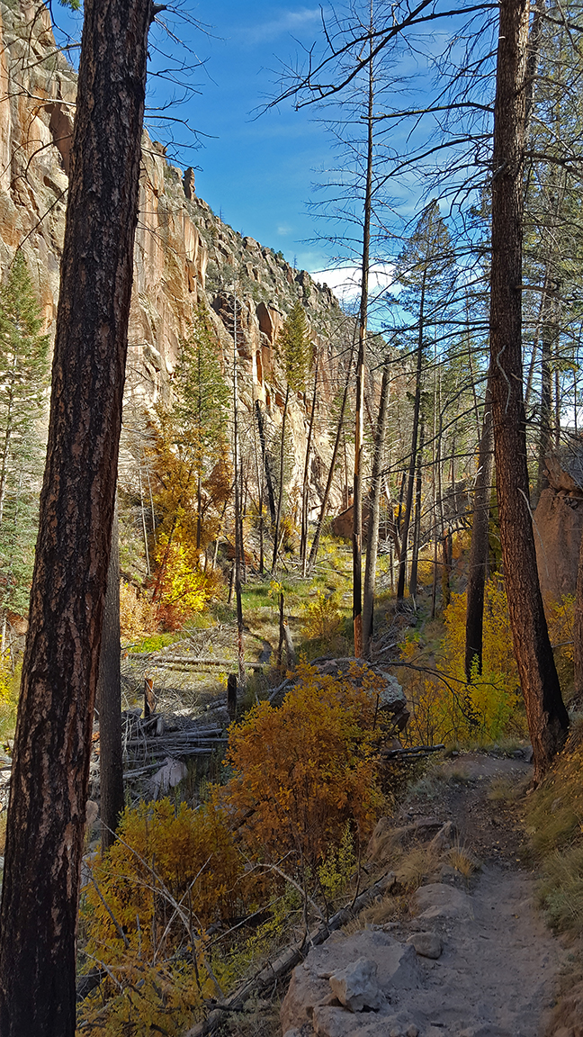 Fall in Love With Amazing Public Lands in Autumn