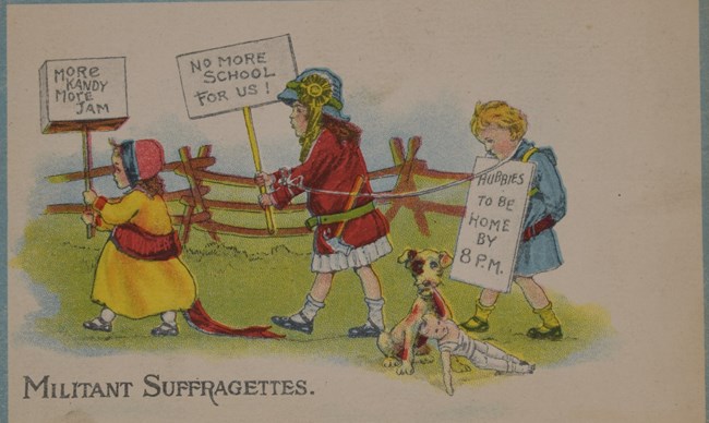 anti womens suffrage signs