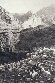 Everett Townsend - Big Bend National Park (U.S. National Park Service)