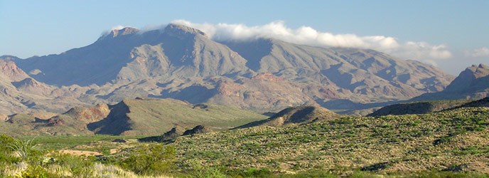 Chisos Landscape