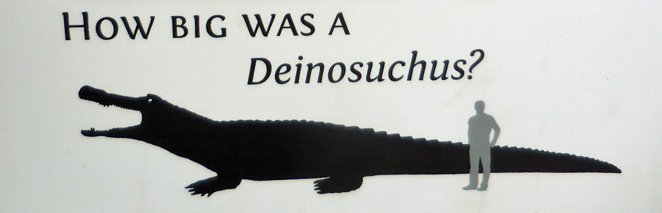 Deinosuchus Skeleton