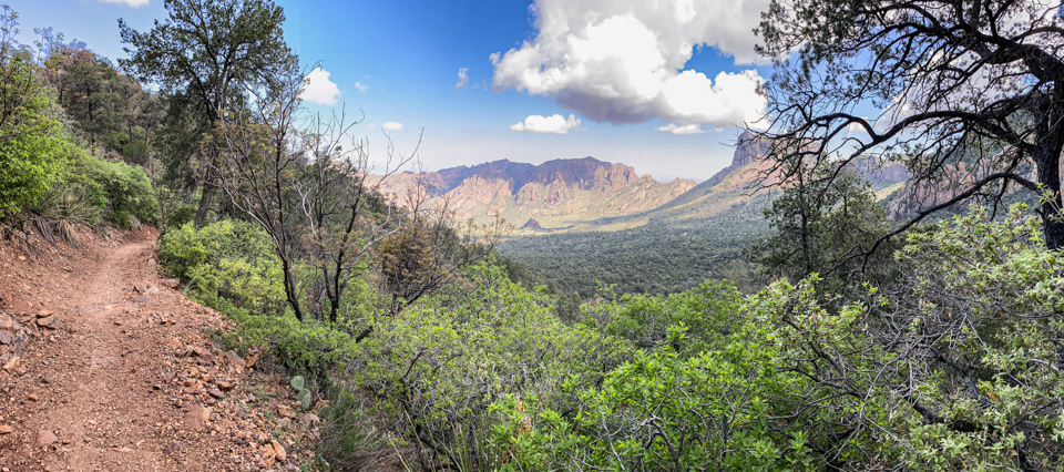 The Pinnacles Trail is a popular, but steep, trail that provides access to the high Chisos Mountains.