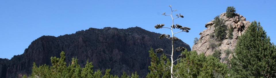 Scenery in Big Bend
